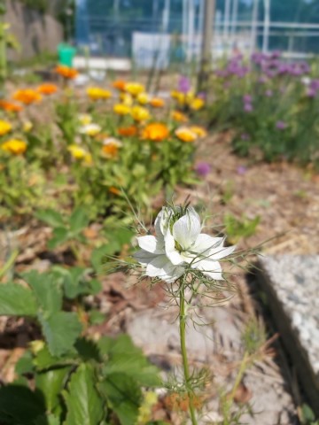 10005003813522726116252278068855626207330304n