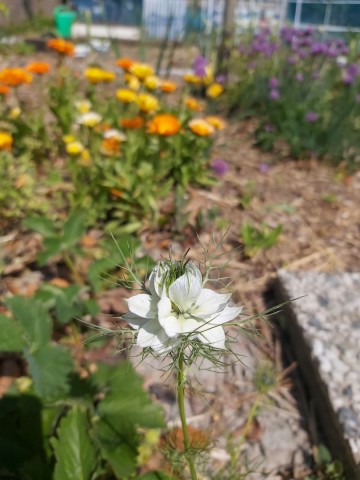 1000740675467693126626546741015093070266368n