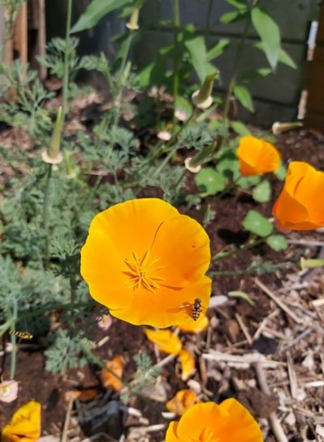 1039544422682504475187632800017581347550662n