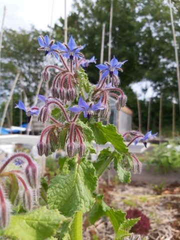 1041054305546407585622346850917171273517522n