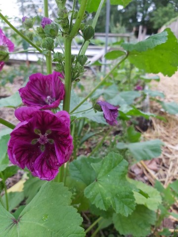 10765010126683771601033216661809830672054926o