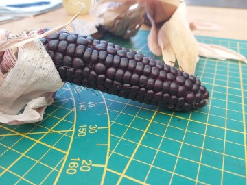 1226853857250321281084861335368492154431419n