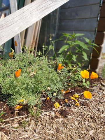 831544311869627460269971585095658139272401n