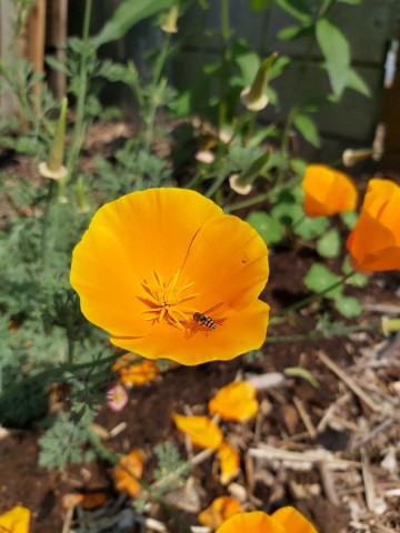 832311522462596066675207248063409683699975n