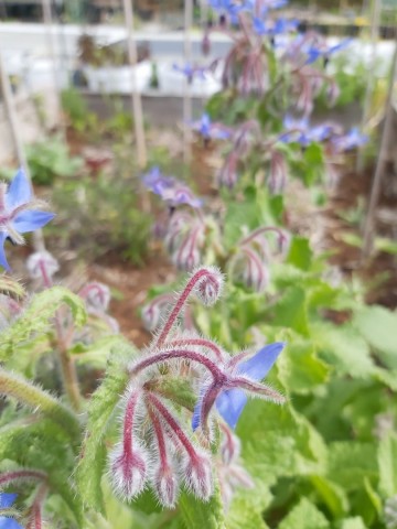 836973343557688853942761995546940164146274n