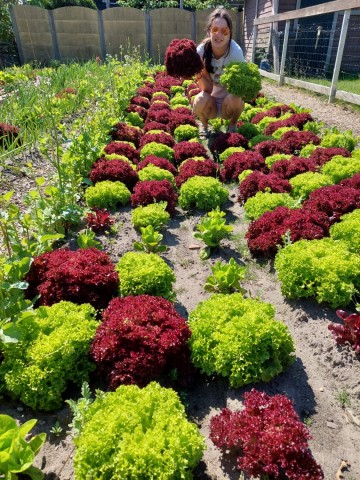 Img 20220126 wa0007 0